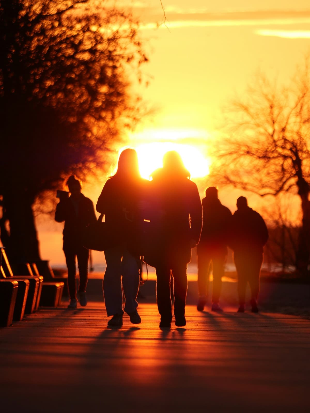Two people, seen from behind, walking side by side along a waterside path toward a golden sunset.